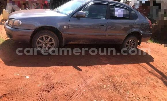 Acheter Occasion Voiture Toyota 2000GT Autre à Douala, Littoral Cameroon Acheter Occasion Voiture Toyota 2000GT Autre à Douala, Littoral Cameroon