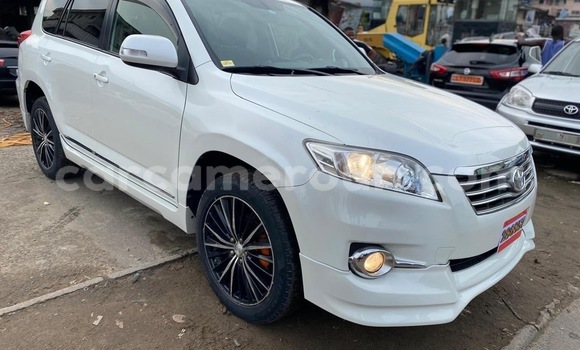 Buy New Toyota Vanguard White Car in Douala in Littoral Cameroon
