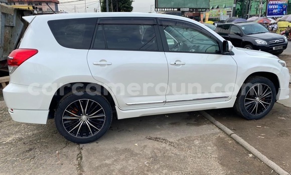 Buy New Toyota Vanguard White Car in Douala in Littoral Cameroon Buy New Toyota Vanguard White Car in Douala in Littoral Cameroon