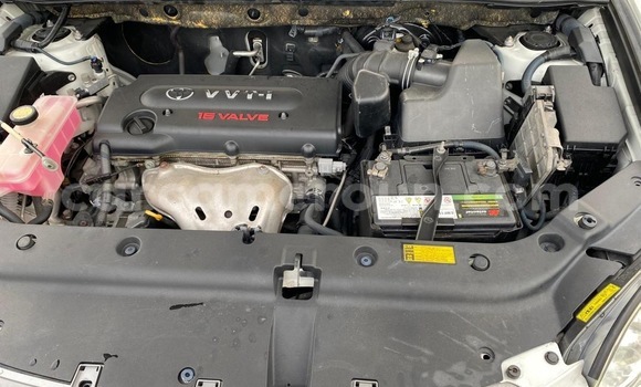 Buy New Toyota Vanguard White Car in Douala in Littoral Cameroon Buy New Toyota Vanguard White Car in Douala in Littoral Cameroon