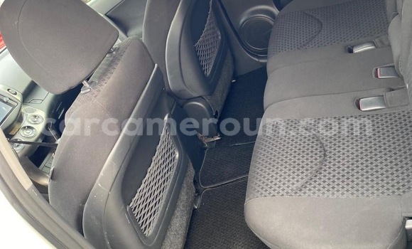 Buy New Toyota Vanguard White Car in Douala in Littoral Cameroon Buy New Toyota Vanguard White Car in Douala in Littoral Cameroon