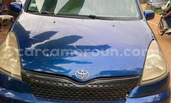 Acheter Occasion Voiture Toyota Yaris Verso Bleu à Douala, Littoral Cameroon Acheter Occasion Voiture Toyota Yaris Verso Bleu à Douala, Littoral Cameroon