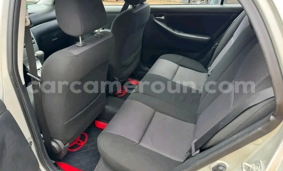 Acheter Occasion Voiture Toyota Corolla Gris à Douala, Littoral Cameroon Acheter Occasion Voiture Toyota Corolla Gris à Douala, Littoral Cameroon