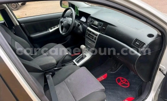 Acheter Occasion Voiture Toyota Corolla Gris à Douala, Littoral Cameroon Acheter Occasion Voiture Toyota Corolla Gris à Douala, Littoral Cameroon