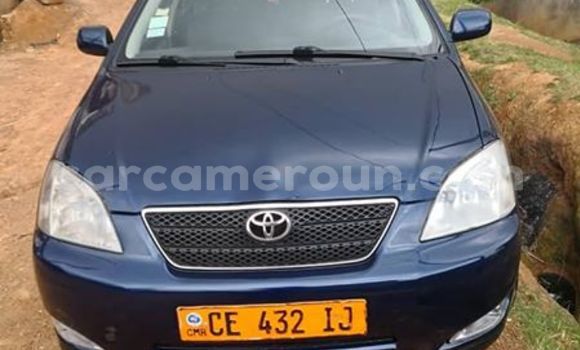 Sayi Na hannu Toyota Corolla Blue Mota in Yaounde a Babban Kamaru Sayi Na hannu Toyota Corolla Blue Mota in Yaounde a Babban Kamaru
