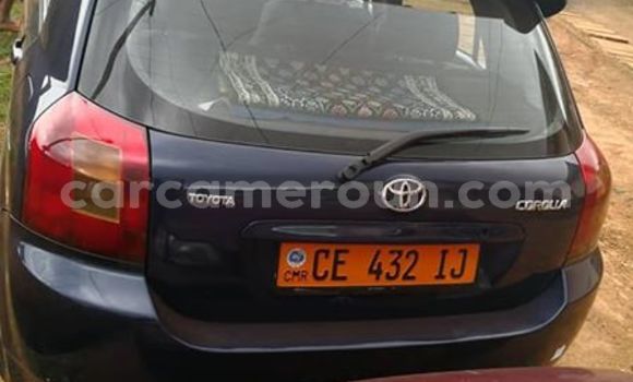 Sayi Na hannu Toyota Corolla Blue Mota in Yaounde a Babban Kamaru Sayi Na hannu Toyota Corolla Blue Mota in Yaounde a Babban Kamaru