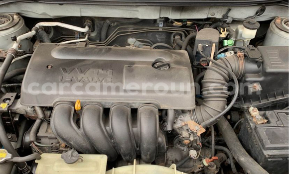 Acheter Occasion Voiture Toyota Matrix Gris à Douala, Littoral Cameroon Acheter Occasion Voiture Toyota Matrix Gris à Douala, Littoral Cameroon