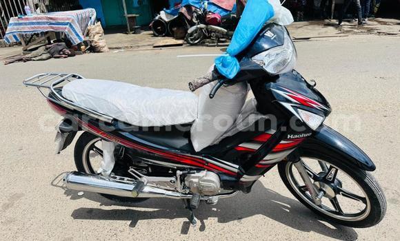 Acheter Neuf Moto Haojue Lucky Noir à Douala, Littoral Cameroon Acheter Neuf Moto Haojue Lucky Noir à Douala, Littoral Cameroon