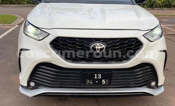 Buy Used Toyota Highlander White Car in Douala in Littoral Cameroon