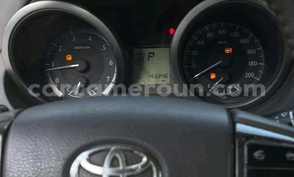 Acheter Occasion Voiture Toyota Land Cruiser Prado Blanc à Douala, Littoral Cameroon Acheter Occasion Voiture Toyota Land Cruiser Prado Blanc à Douala, Littoral Cameroon