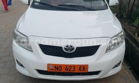 Buy Used Toyota Corolla White Car in Douala in Littoral Cameroon