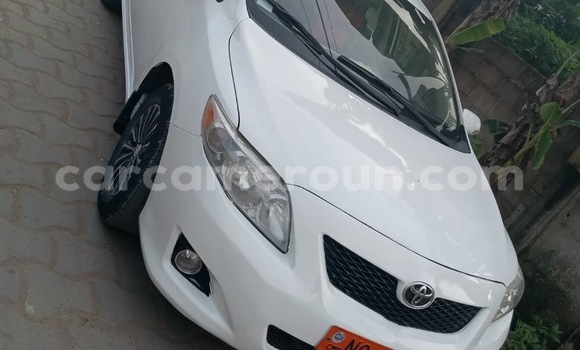 Sayi Na hannu Toyota Corolla White Mota in Douala a Ƙasar Kamaru Sayi Na hannu Toyota Corolla White Mota in Douala a Ƙasar Kamaru