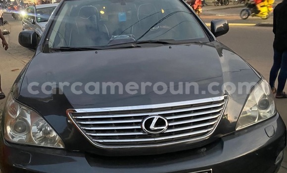 Buy Used Lexus RX 350 Black Car in Douala in Littoral Cameroon