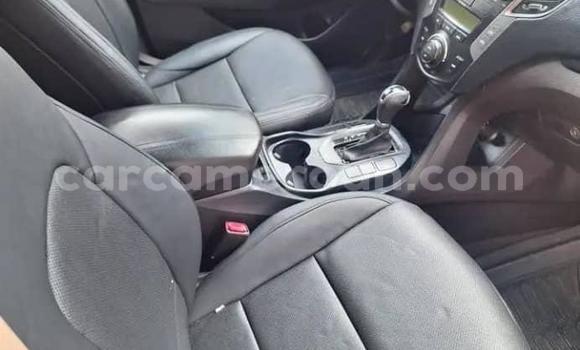 Sayi Na hannu Hyundai Santa Fe White Mota in Douala a Ƙasar Kamaru Sayi Na hannu Hyundai Santa Fe White Mota in Douala a Ƙasar Kamaru