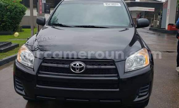 Buy Used Toyota RAV4 Black Car in Douala in Littoral Cameroon