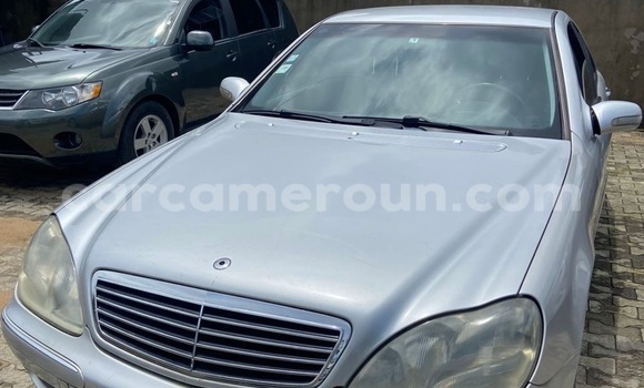 Sayi Imported Mercedes‒Benz S–Class Azurfa Mota in Douala a Ƙasar Kamaru Sayi Imported Mercedes‒Benz S–Class Azurfa Mota in Douala a Ƙasar Kamaru