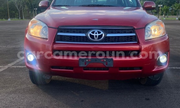 Acheter Import Voiture Toyota RAV4 Rouge à Douala, Littoral Cameroon