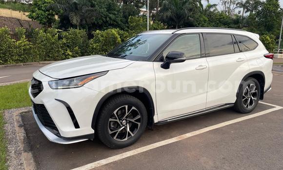 Sayi Sabo Toyota Highlander White Mota in Douala a Ƙasar Kamaru Sayi Sabo Toyota Highlander White Mota in Douala a Ƙasar Kamaru