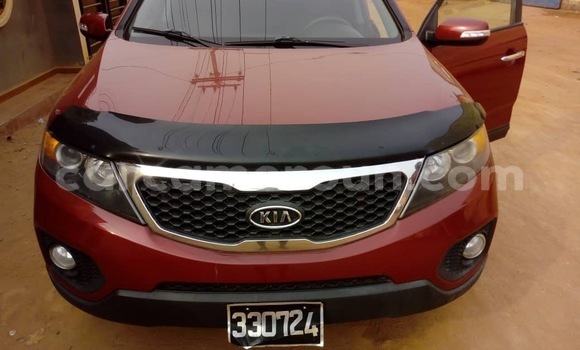 Buy Import Kia Sorento Red Car in Douala in Littoral Cameroon