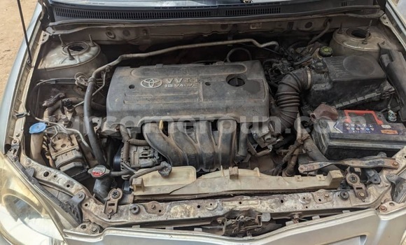 Acheter Occasion Voiture Toyota Corolla Gris à Douala, Littoral Cameroon Acheter Occasion Voiture Toyota Corolla Gris à Douala, Littoral Cameroon