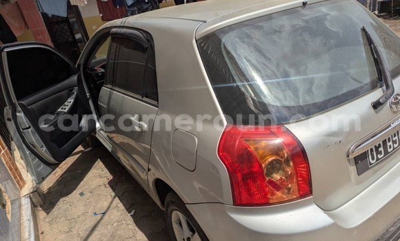 Acheter Occasion Voiture Toyota Corolla Gris à Douala, Littoral Cameroon Acheter Occasion Voiture Toyota Corolla Gris à Douala, Littoral Cameroon