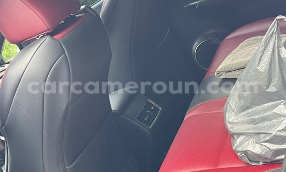 Buy Used Lexus NX White Car in Douala in Littoral Cameroon Buy Used Lexus NX White Car in Douala in Littoral Cameroon