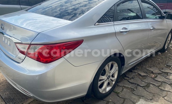 Acheter Import Voiture Hyundai Sonata Gris à Douala, Littoral Cameroon Acheter Import Voiture Hyundai Sonata Gris à Douala, Littoral Cameroon
