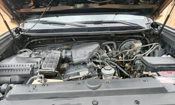 Buy Used Toyota Prado Green Car in Douala in Littoral Cameroon
