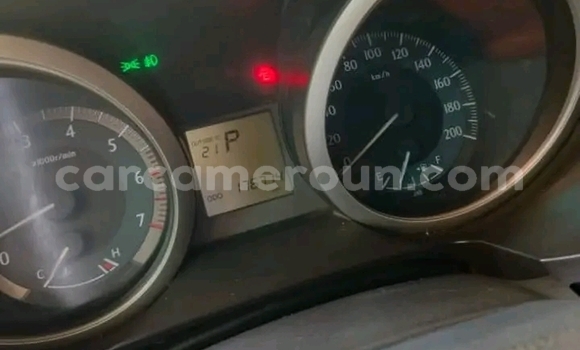 Sayi Na hannu Toyota Prado Green Mota in Douala a Ƙasar Kamaru Sayi Na hannu Toyota Prado Green Mota in Douala a Ƙasar Kamaru