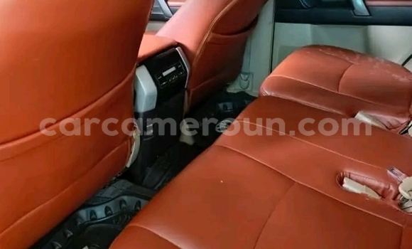 Sayi Na hannu Toyota Prado Green Mota in Douala a Ƙasar Kamaru Sayi Na hannu Toyota Prado Green Mota in Douala a Ƙasar Kamaru
