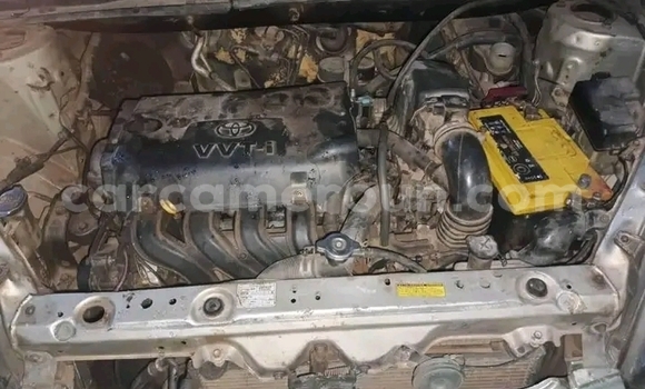 Sayi Na hannu Toyota Yaris Sauran Mota in Yaounde a Babban Kamaru Sayi Na hannu Toyota Yaris Sauran Mota in Yaounde a Babban Kamaru