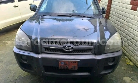 Sayi Na hannu Hyundai Tucson Sauran Mota in Yaounde a Babban Kamaru Sayi Na hannu Hyundai Tucson Sauran Mota in Yaounde a Babban Kamaru