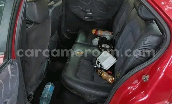 Sayi Na hannu Peugeot 203 Red Mota in Douala a Ƙasar Kamaru Sayi Na hannu Peugeot 203 Red Mota in Douala a Ƙasar Kamaru