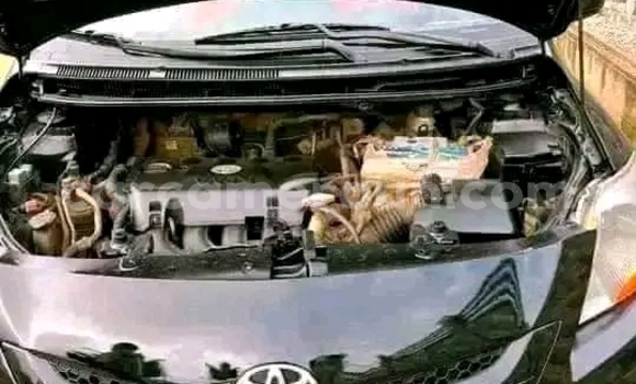 Sayi Na hannu Toyota Yaris Black Mota in Douala a Ƙasar Kamaru Sayi Na hannu Toyota Yaris Black Mota in Douala a Ƙasar Kamaru