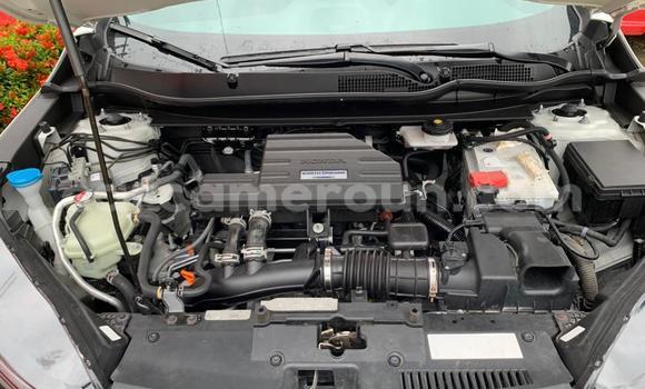 Sayi Sabo Honda CR–V White Mota in Douala a Ƙasar Kamaru Sayi Sabo Honda CR–V White Mota in Douala a Ƙasar Kamaru