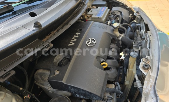 Buy Used Toyota Yaris Silver Car in Yaounde in Central Cameroon Buy Used Toyota Yaris Silver Car in Yaounde in Central Cameroon