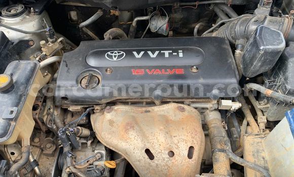 Sayi Na hannu Toyota RAV4 Blue Mota in Douala a Ƙasar Kamaru Sayi Na hannu Toyota RAV4 Blue Mota in Douala a Ƙasar Kamaru