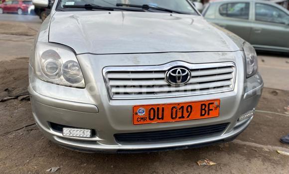 Buy Used Toyota Avensis Silver Car in Douala in Littoral Cameroon