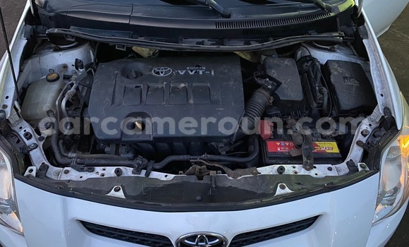 Buy Import Toyota Auris White Car in Douala in Littoral Cameroon Buy Import Toyota Auris White Car in Douala in Littoral Cameroon