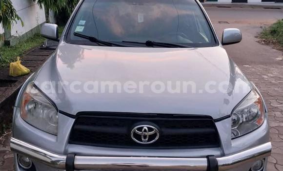 Acheter Import Voiture Toyota RAV4 Gris à Douala, Littoral Cameroon