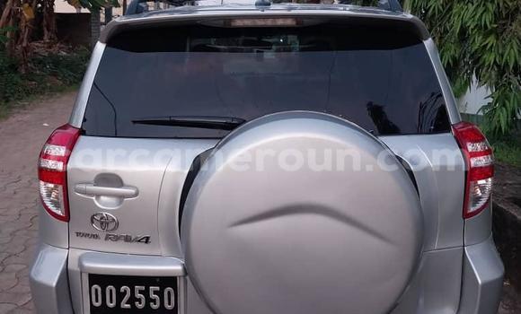 Sayi Imported Toyota RAV4 Azurfa Mota in Douala a Ƙasar Kamaru Sayi Imported Toyota RAV4 Azurfa Mota in Douala a Ƙasar Kamaru