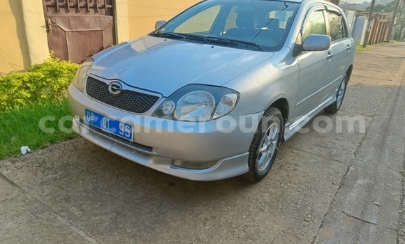 Buy Used Toyota Runx Silver Car in Yaounde in Central Cameroon