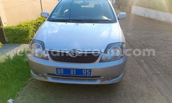 Buy Used Toyota Runx Silver Car in Yaounde in Central Cameroon Buy Used Toyota Runx Silver Car in Yaounde in Central Cameroon