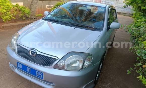 Buy Used Toyota Runx Silver Car in Yaounde in Central Cameroon Buy Used Toyota Runx Silver Car in Yaounde in Central Cameroon