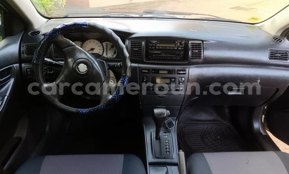 Buy Used Toyota Runx Silver Car in Yaounde in Central Cameroon Buy Used Toyota Runx Silver Car in Yaounde in Central Cameroon
