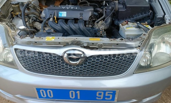 Buy Used Toyota Runx Silver Car in Yaounde in Central Cameroon Buy Used Toyota Runx Silver Car in Yaounde in Central Cameroon
