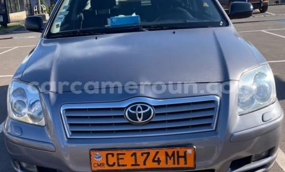 Buy Used Toyota Avensis Silver Car in Yaounde in Central Cameroon Buy Used Toyota Avensis Silver Car in Yaounde in Central Cameroon