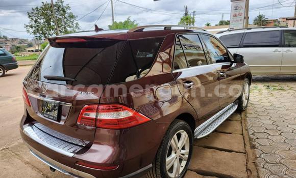 Buy Used Mercedes‒Benz ML–Class Brown Car in Yaounde in Central Cameroon Buy Used Mercedes‒Benz ML–Class Brown Car in Yaounde in Central Cameroon