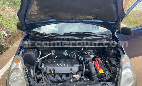 Buy Used Toyota Yaris Verso Blue Car in Yaounde in Central Cameroon Buy Used Toyota Yaris Verso Blue Car in Yaounde in Central Cameroon
