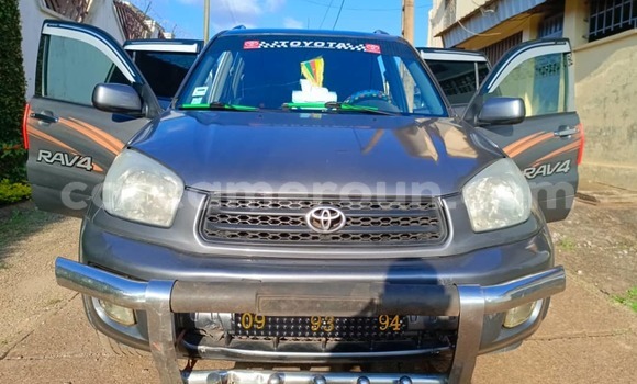 Buy Used Toyota RAV4 Silver Car in Yaounde in Central Cameroon Buy Used Toyota RAV4 Silver Car in Yaounde in Central Cameroon